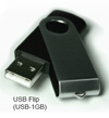 USB 1GB flash drive, usb flash drive, 3eyefish.com, wholesale electronics and promotional electronics, mp3 players, flash drives